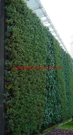 上海康馨園林 專業(yè)綠化工程養(yǎng)護(hù)與施工，打造城市立體生態(tài)空間
